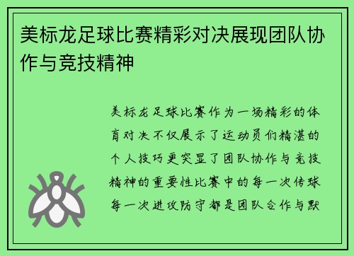 美标龙足球比赛精彩对决展现团队协作与竞技精神