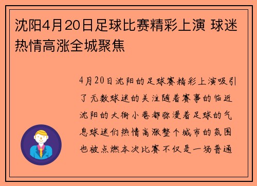 沈阳4月20日足球比赛精彩上演 球迷热情高涨全城聚焦