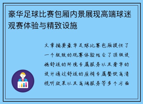 豪华足球比赛包厢内景展现高端球迷观赛体验与精致设施